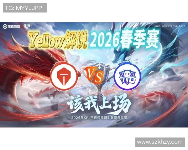 热议王者荣耀：TES战队比赛经验的创新与变革之路探讨