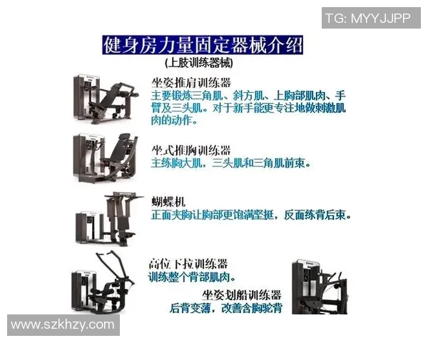 练背部肌肉的健身器材有效推荐与练法技巧